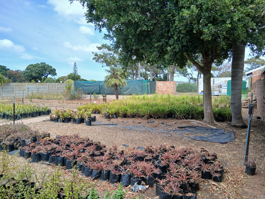 Commercial Property for Sale in C Place Eastern Cape